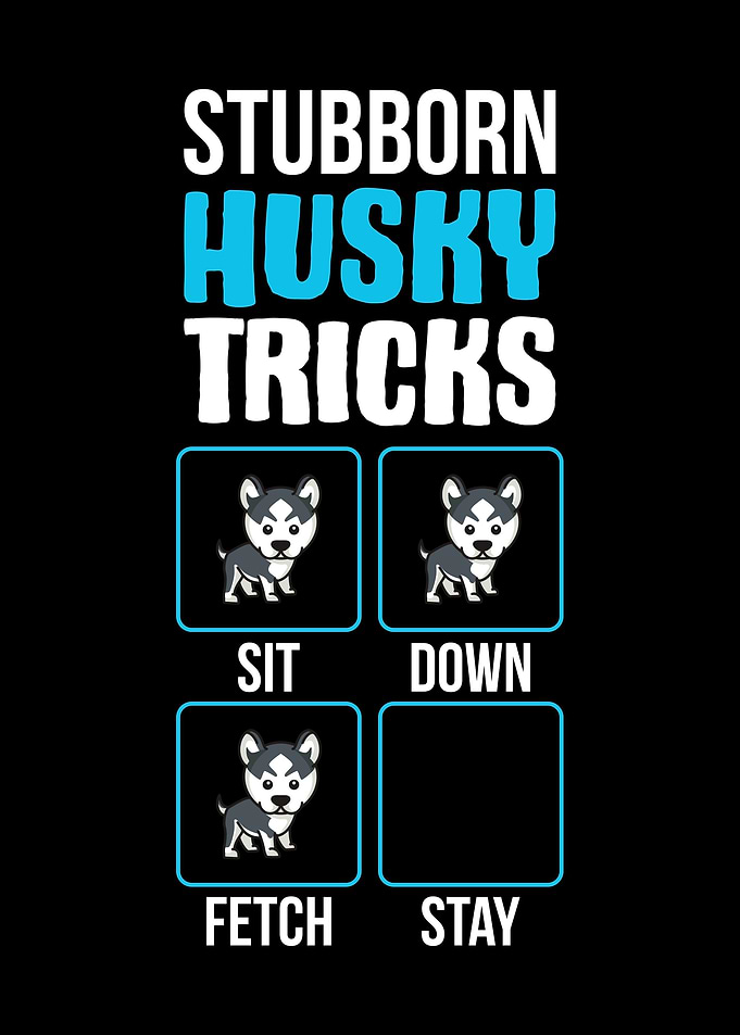 Stubborn Husky
