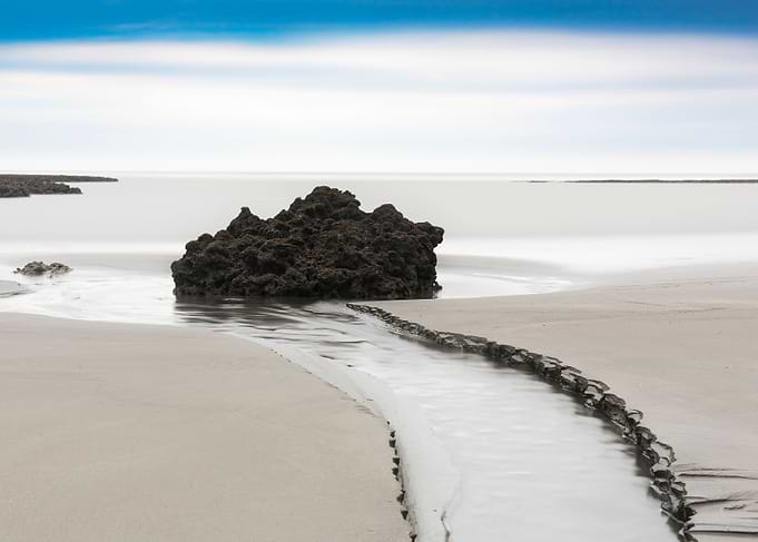 Taiwan algae landscape