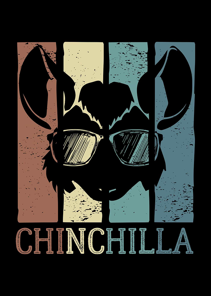 Vintage Chinchilla Retro