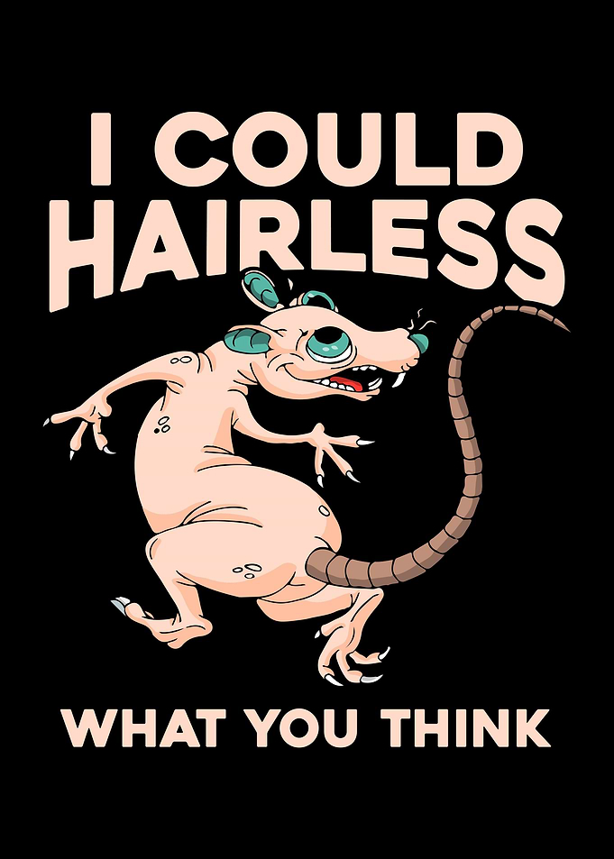 Hairless Rat