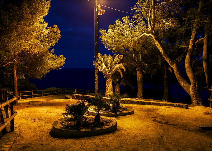Midnight In A Park