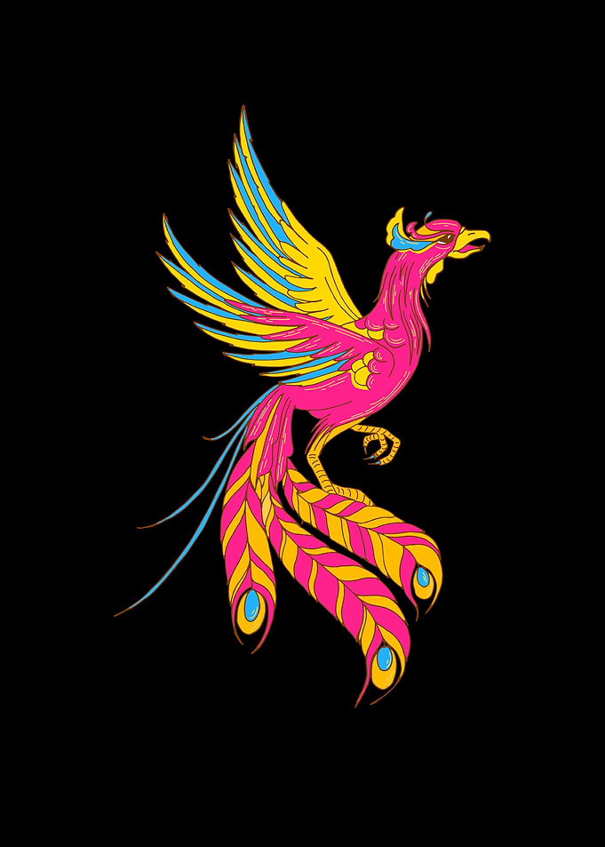 Pansexual Pride Phoenix Of