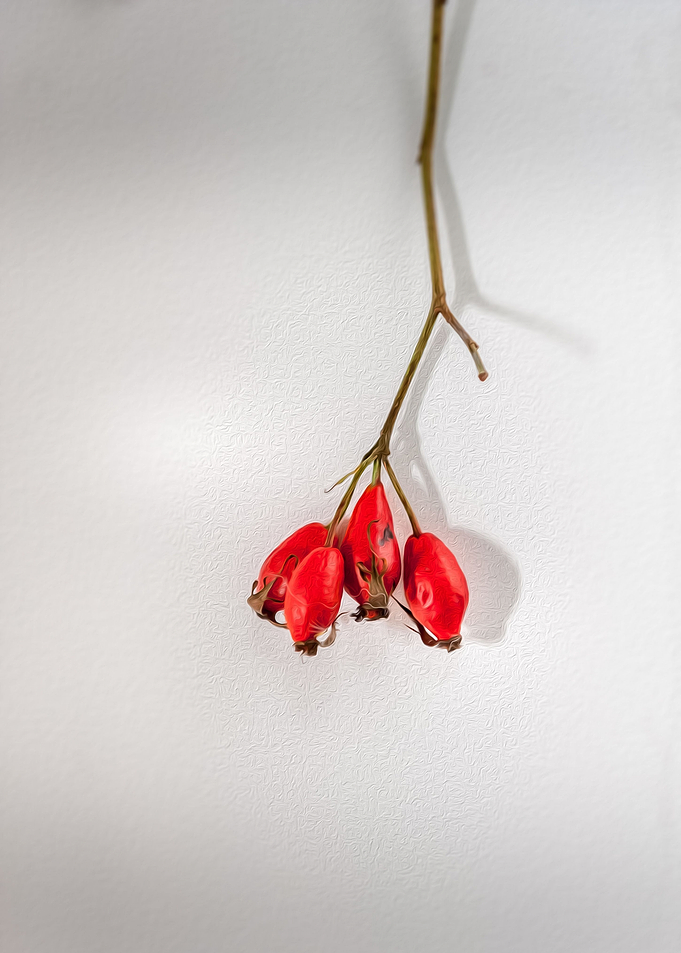 Red berry