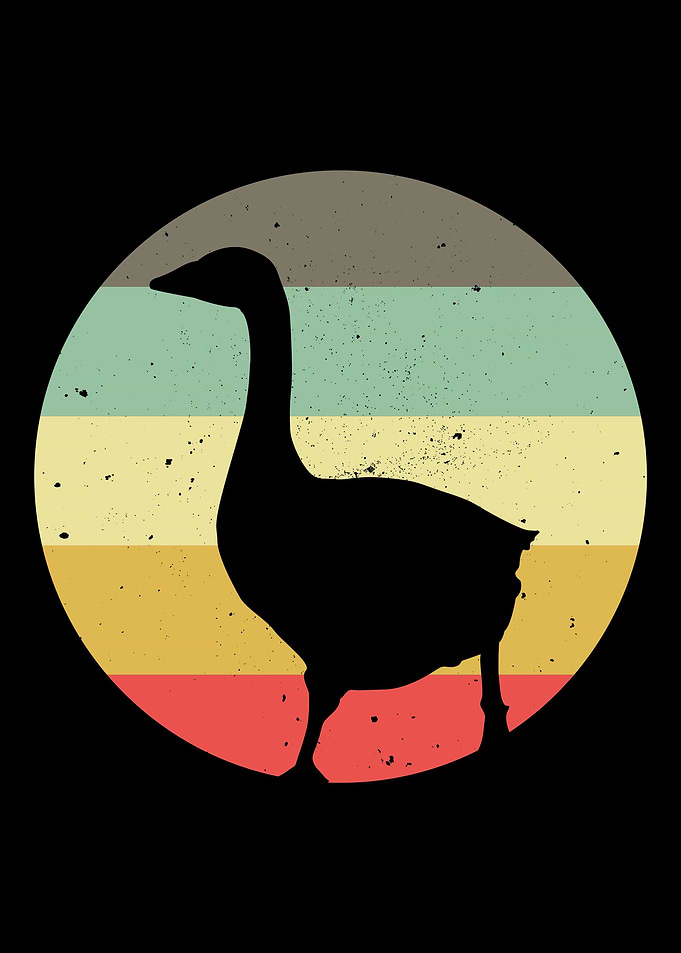 Duck Breeder Goose Farmer