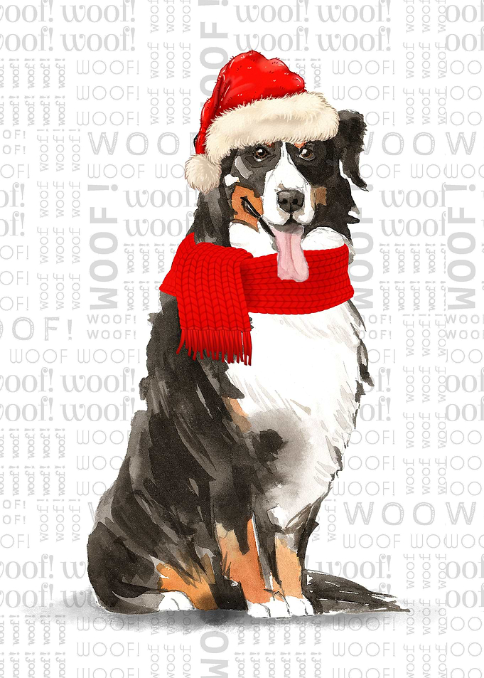 Bernese Mountain Dog