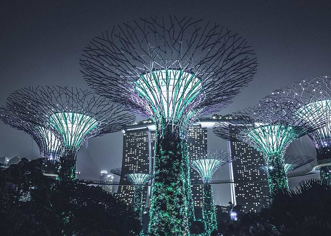 Super Tree Grove