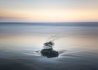 Abandoned fishing net