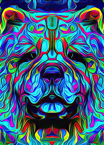 Chow Chow Abstract