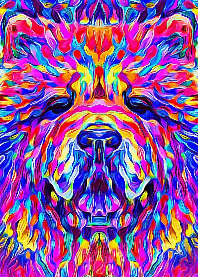 Chow Chow Colorful Impasto