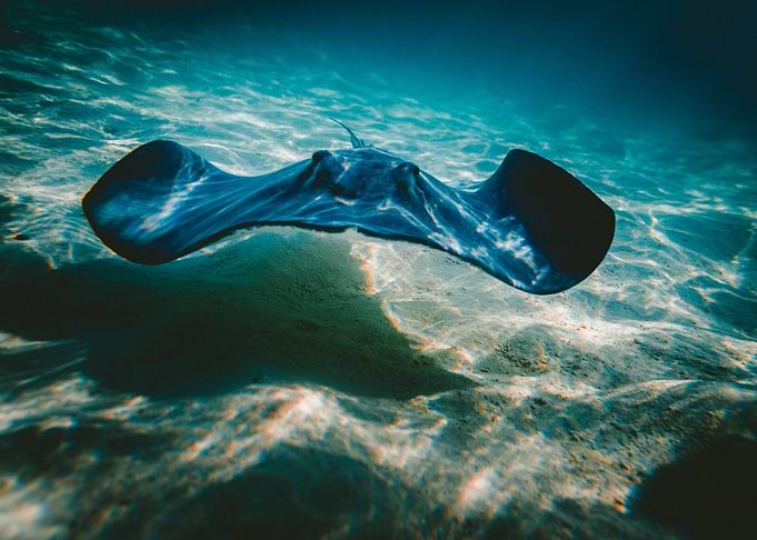 Underwater gliding