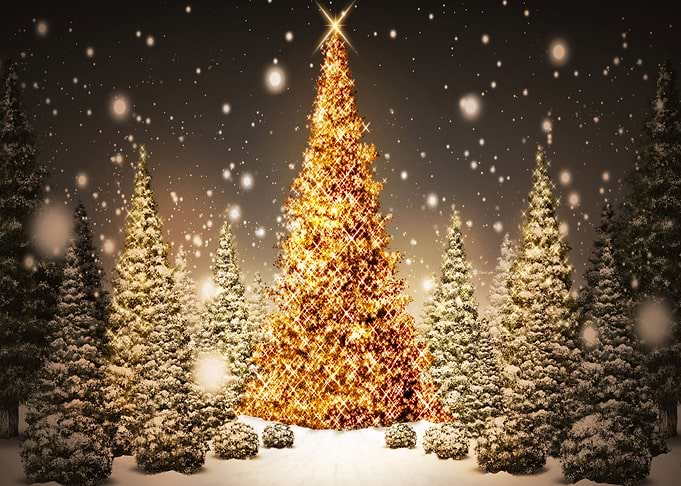 Christmas Lights