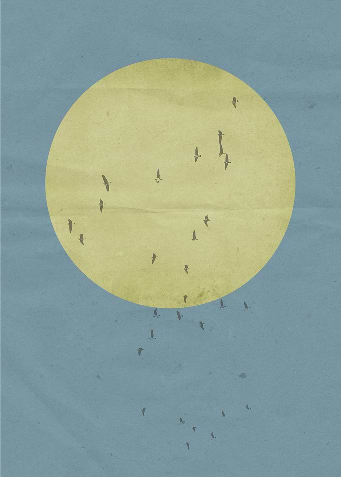 blue with birds