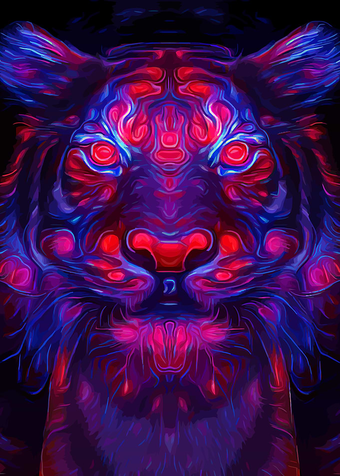 Tiger Galaxy