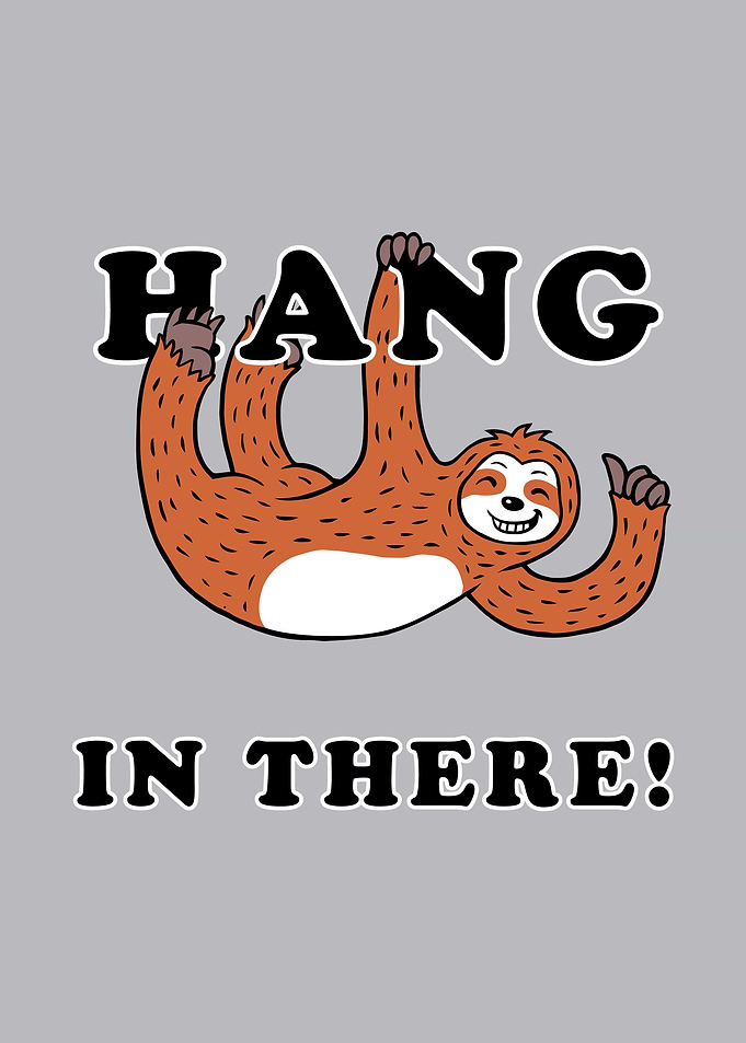 Hang In There Sloth