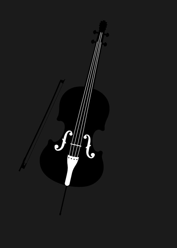 violin guitar cello