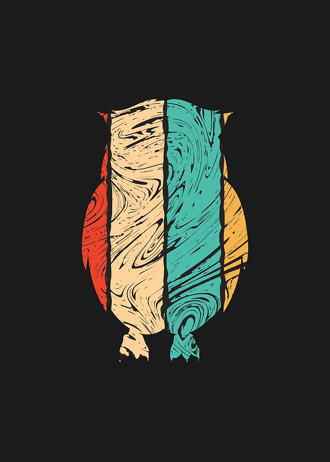 Owl Animal