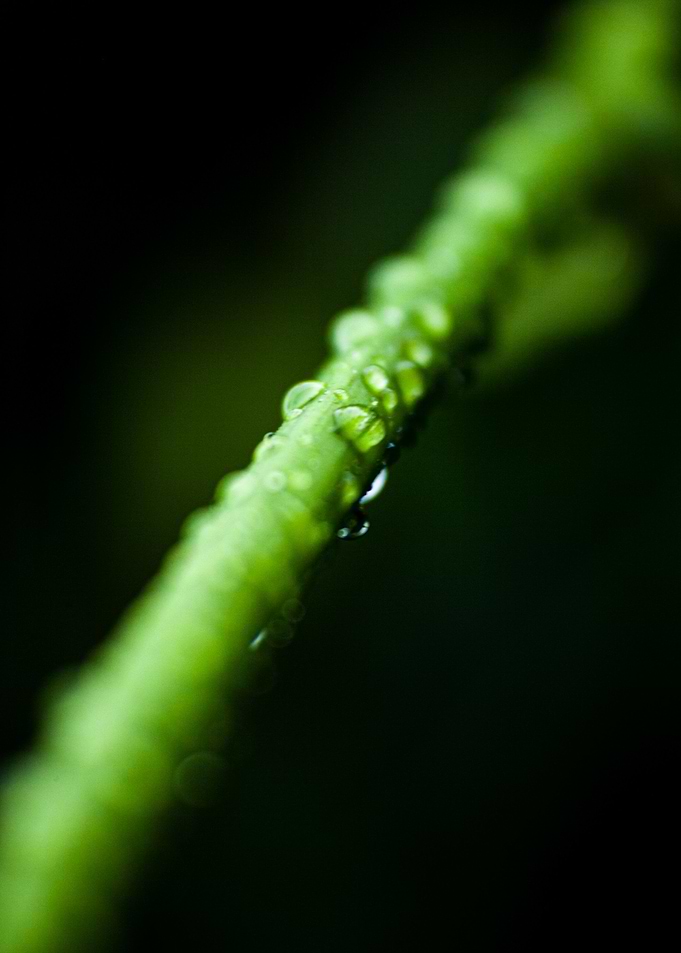 after rain