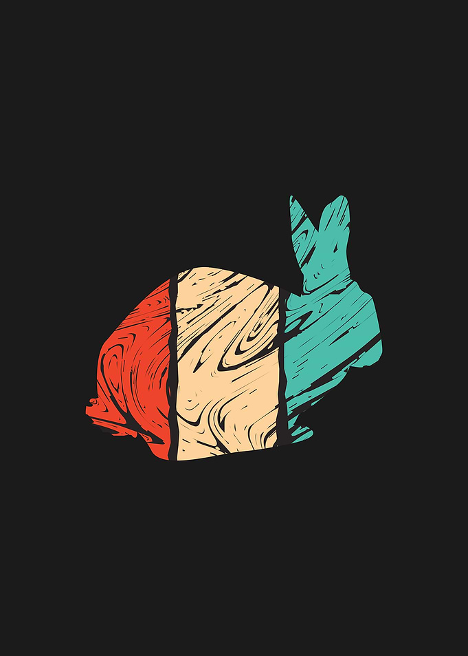Rabbit Animal