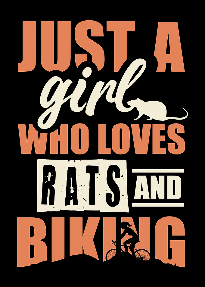 Rat Girl Bicycle Bike