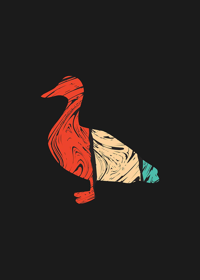 Duck Animal