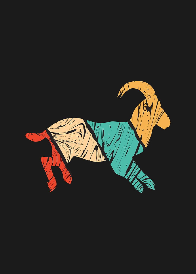Goat Animal