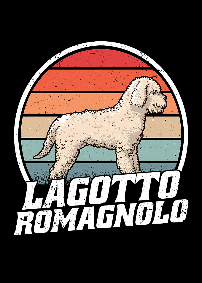 Lagotto Romagnolo Retro