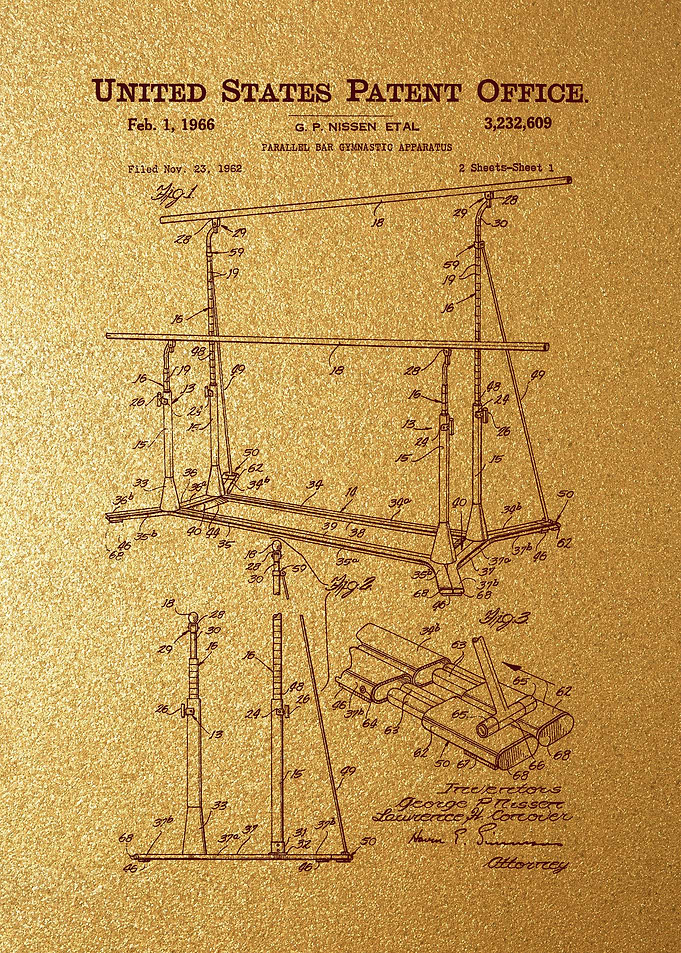 67 Parallel Bar Gymnastic