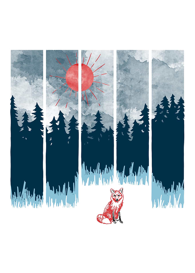 Fox Forrest Sunshine Sun