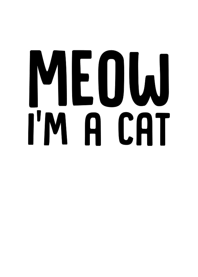 Meow Im a Cat