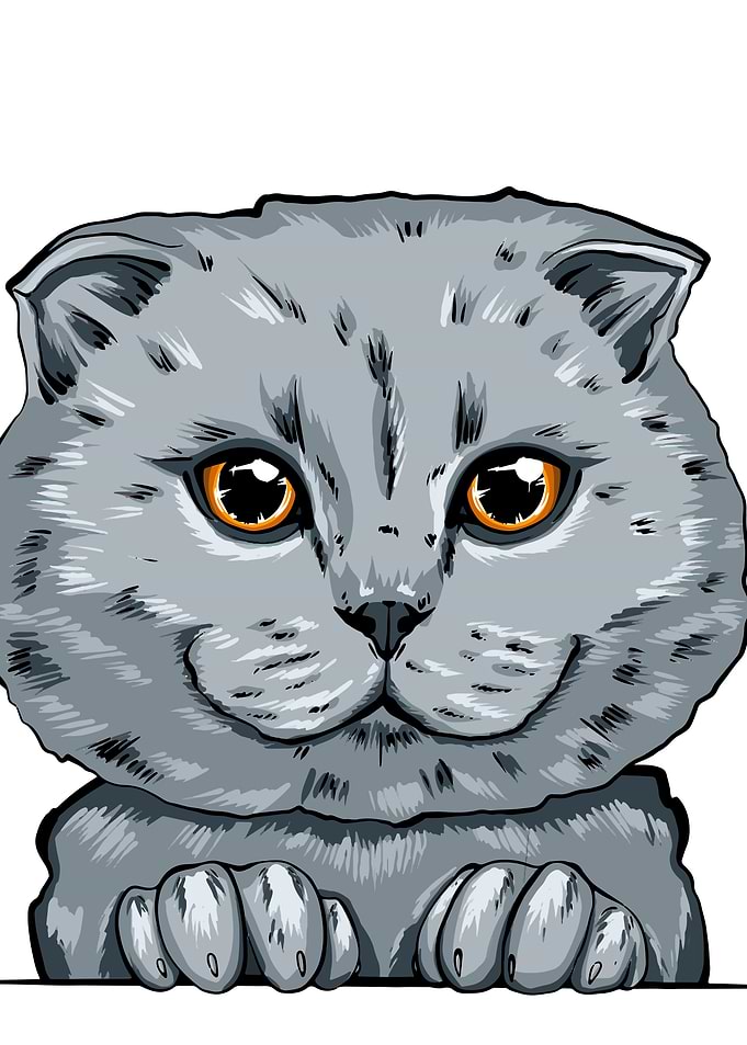 Britain cat portrait