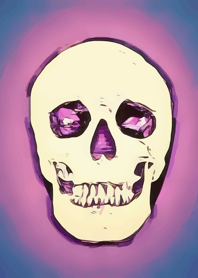 Skull