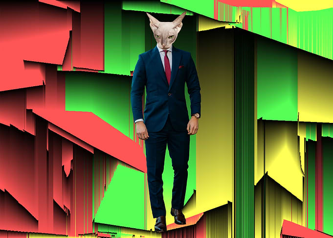 Cat Man