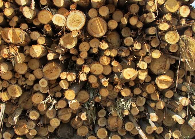 Staple of Wood 04