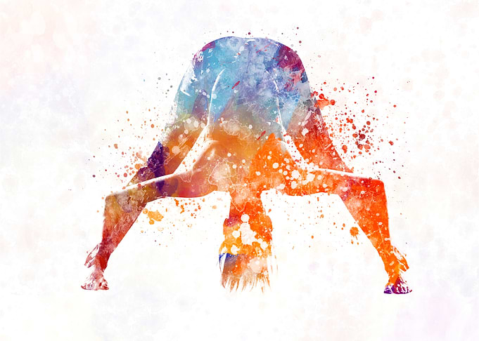 gymnastics exercise