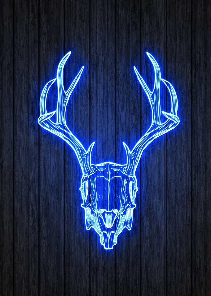 Neon Skull
