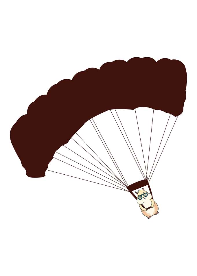 Parachuting hamster