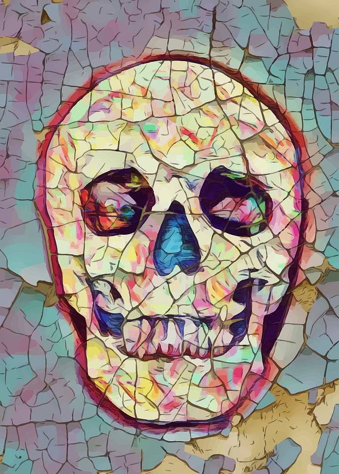 Skull