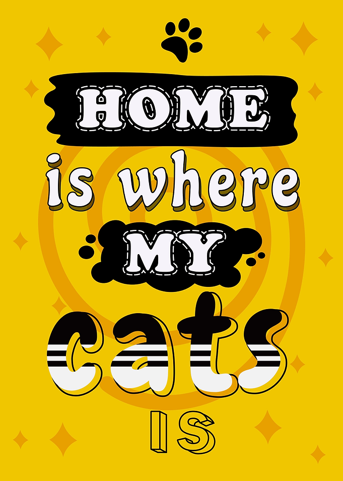 Home is Where My Cat is