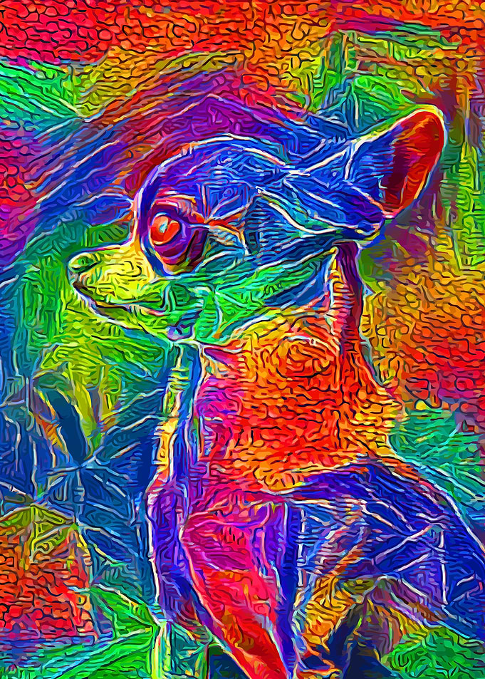Chihuahua Rainbow Mosaic
