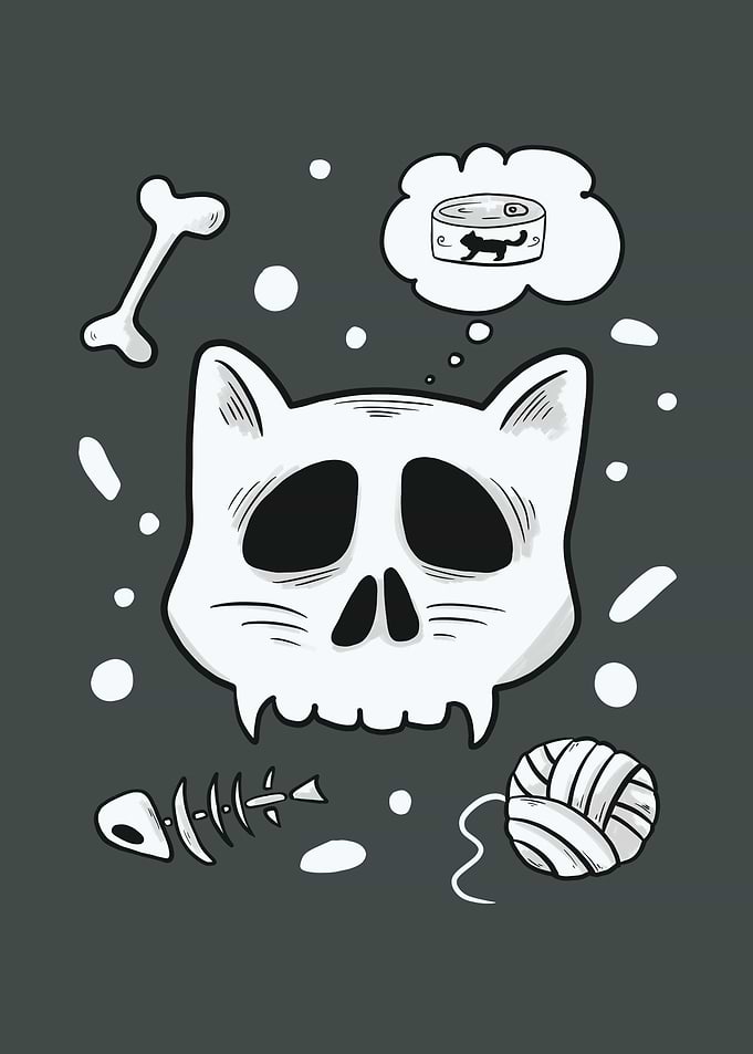 Skull Cat Funny Kitty Cat