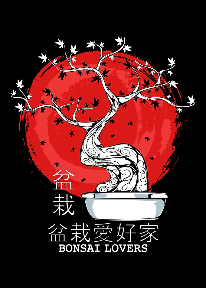 Japanese Bonsai Tree