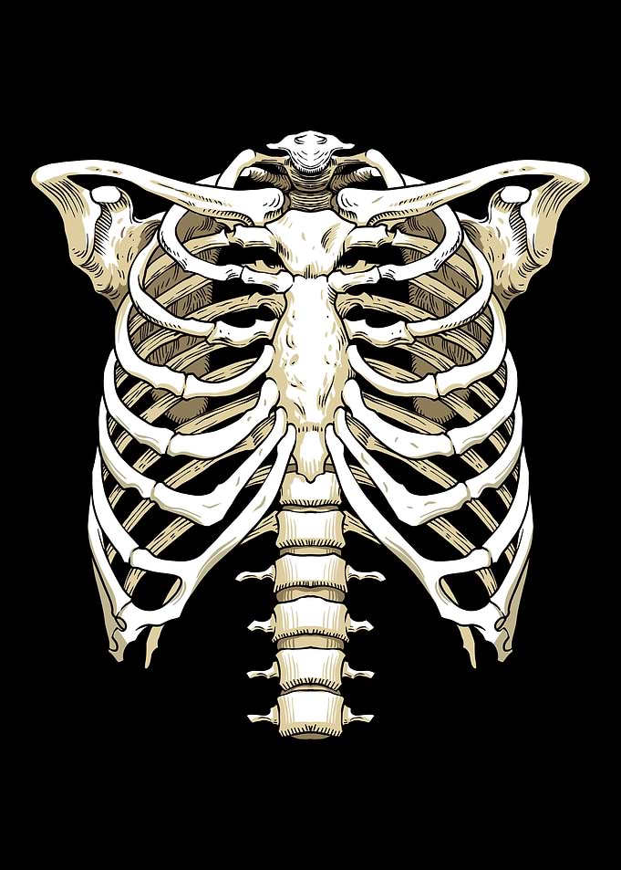 Skeleton Halloween Costume