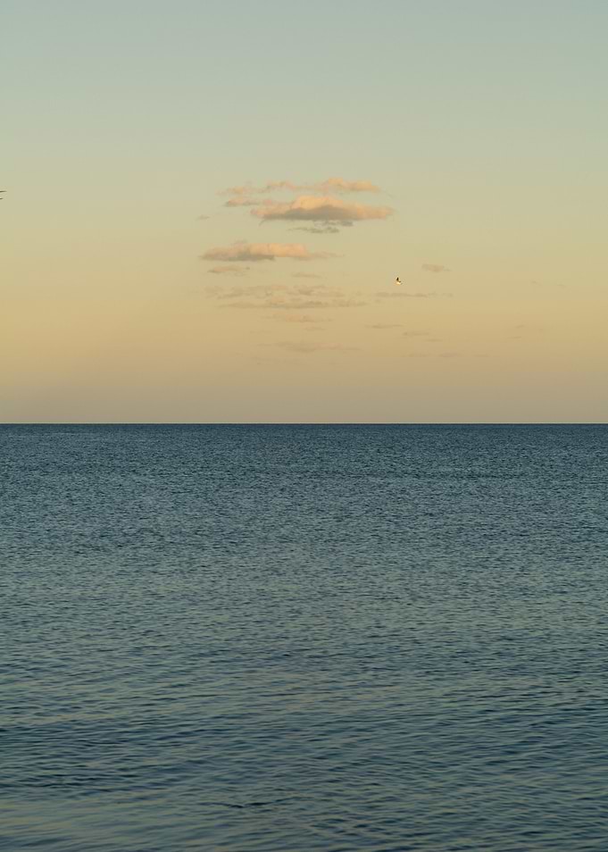 Beach at sunset