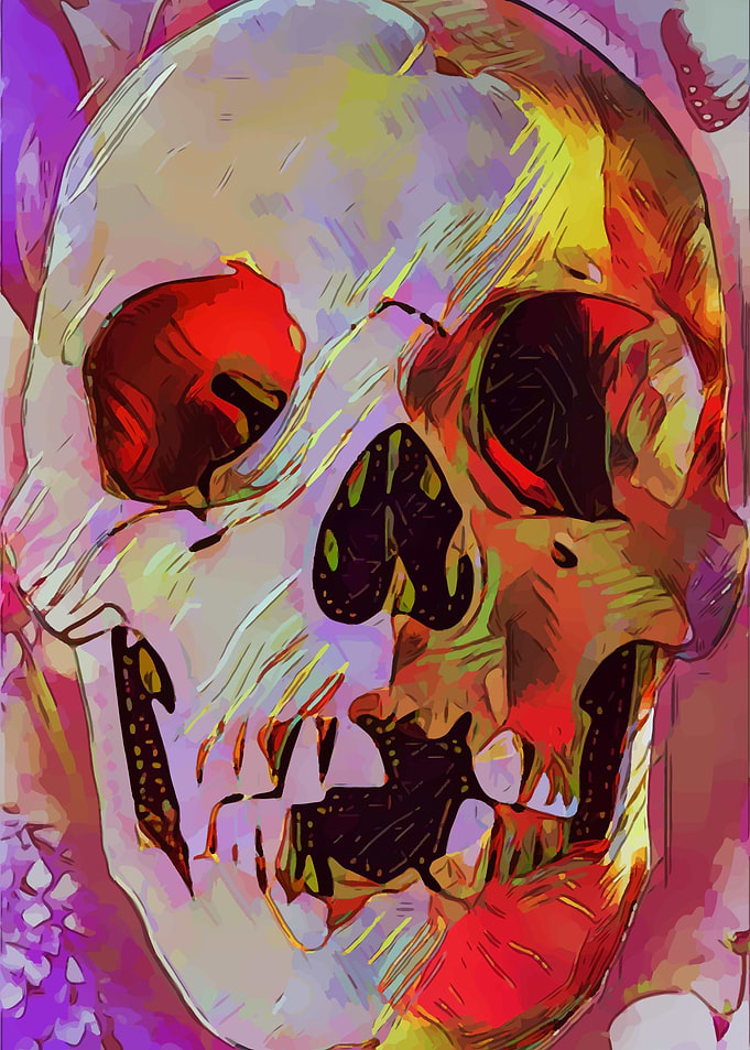 Skull