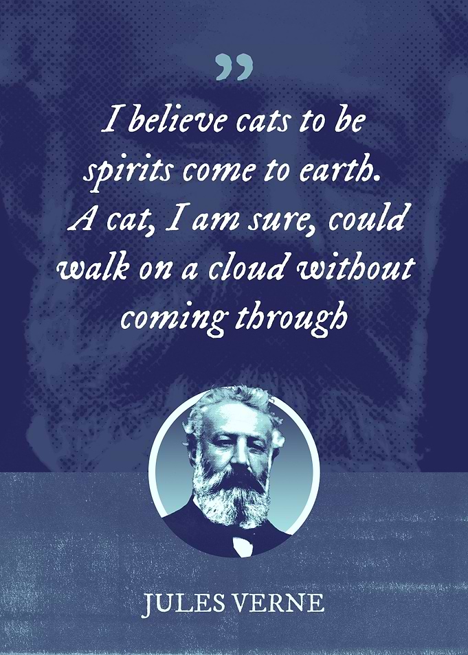 I believe cats to be