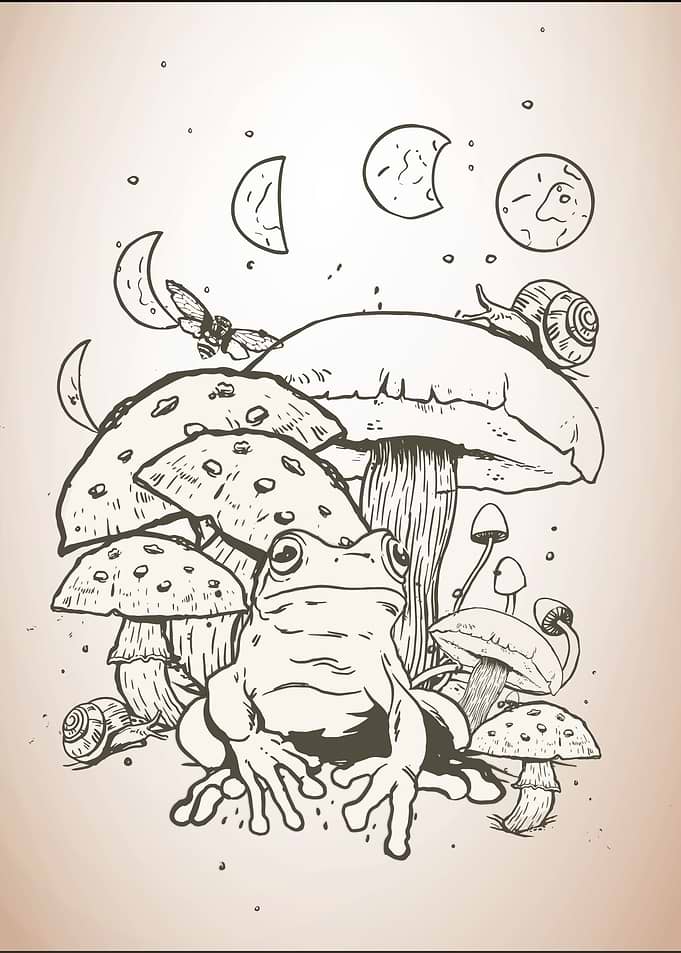 Cottagecore Frog Moon