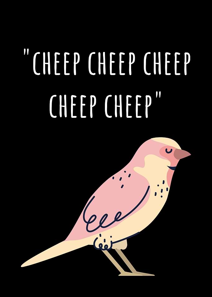 Cute Funny Animal Poster