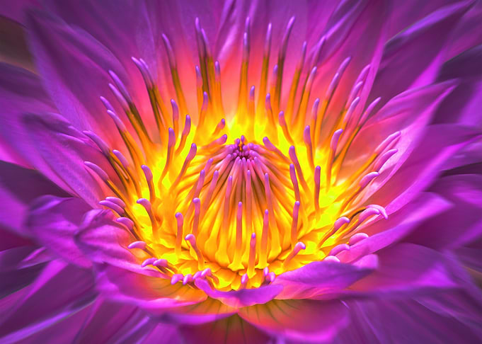 Beauty By Design