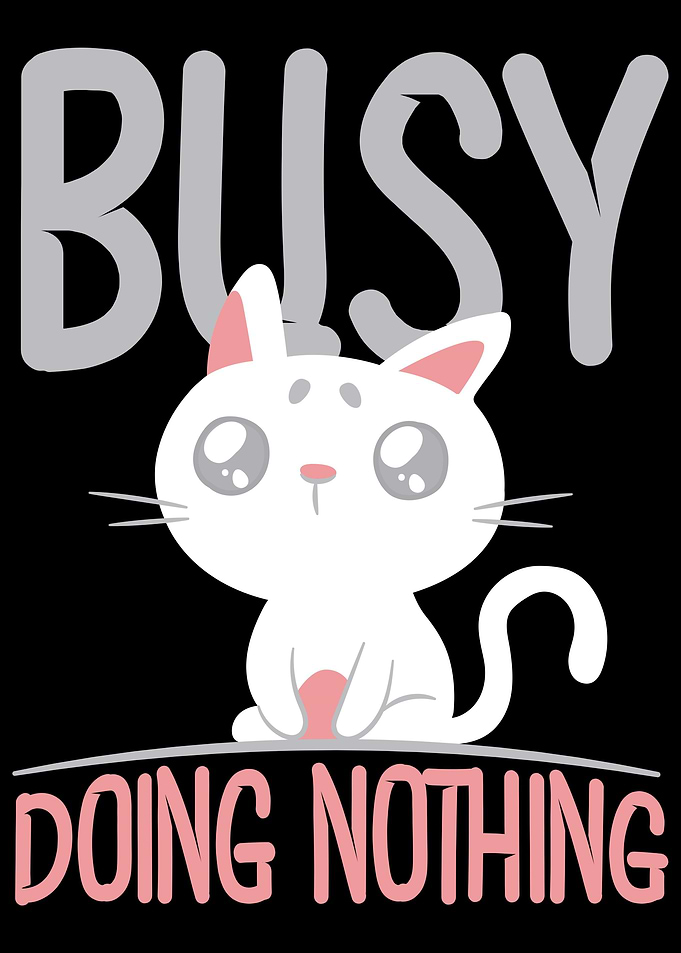 Kitten Cat Funny Cats Cute