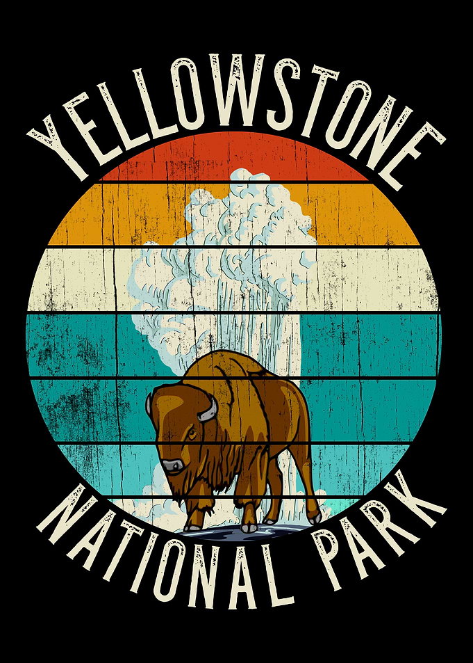 YELLOWSTONE BISON GEYSER